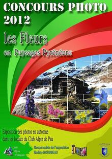 Concours photos 2012 (affiche r�alis�e par Gilbert Rhin)
